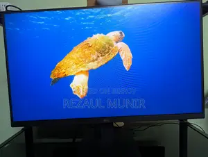 LG Monitor