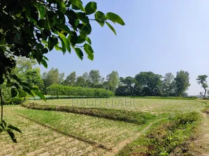246 decimal large land for sale in Taraganj, Rangpur
