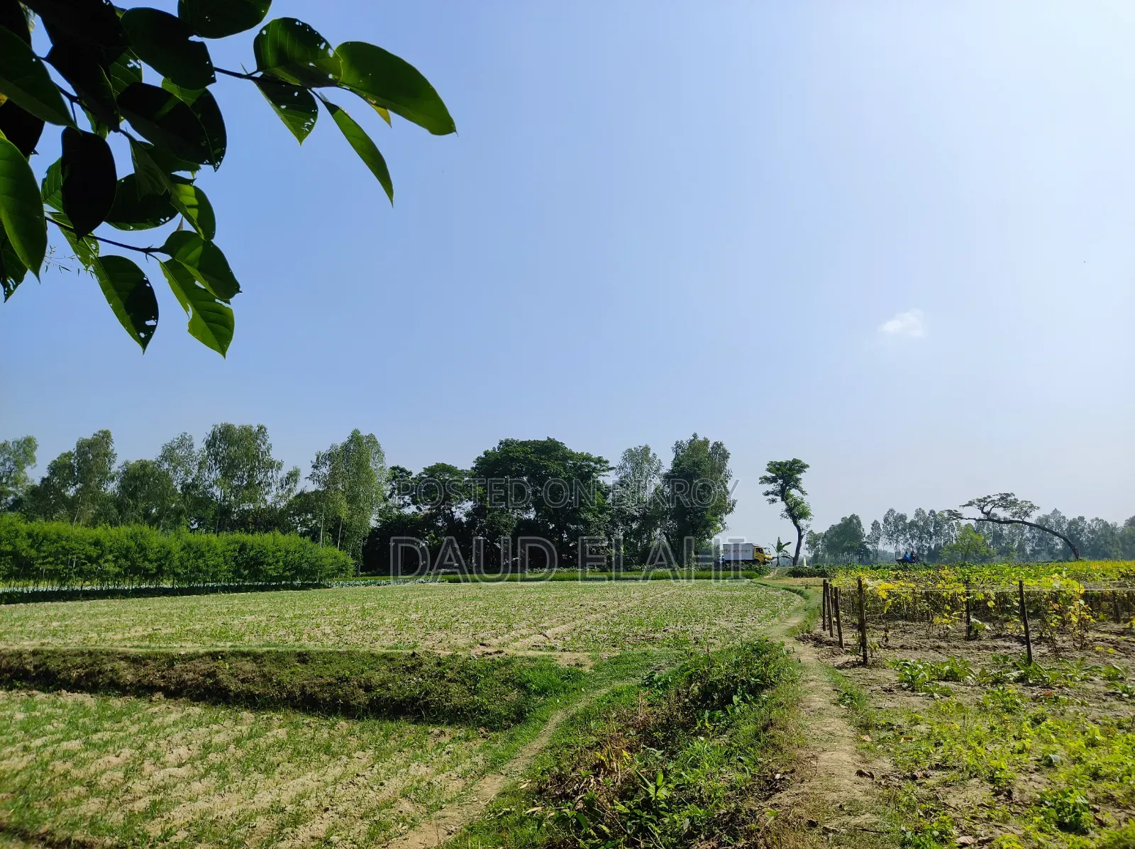 246 decimal large land for sale in Taraganj, Rangpur