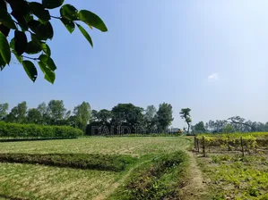 246 decimal large land for sale in Taraganj, Rangpur