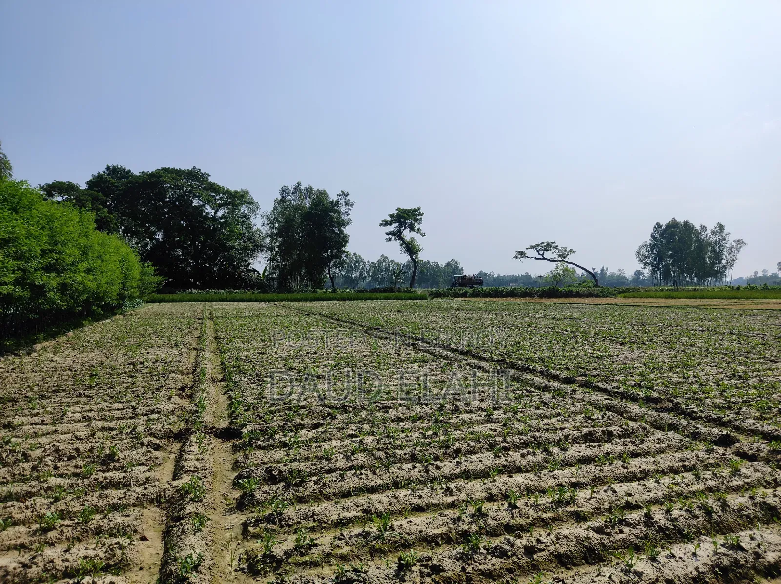 246 decimal large land for sale in Taraganj, Rangpur