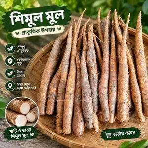 কচি কাঁচা শিমুল মূল