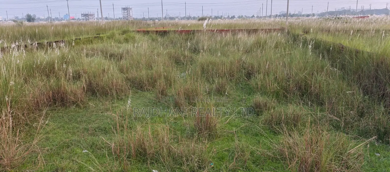 L Block, 40 Katha Plot for Sale in Bashundhara, Baridhara.