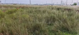 L Block, 40 Katha Plot for Sale in Bashundhara, Baridhara.