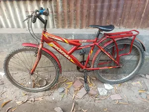 Phoenix Bicycle