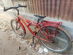 Phoenix Bicycle