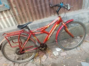 Phoenix Bicycle