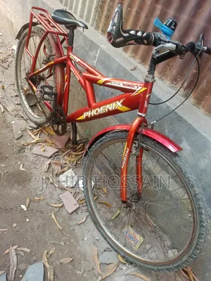 Phoenix Bicycle