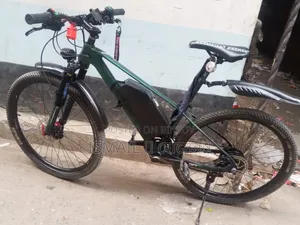 Avon Xt27.5 With Hub Motor