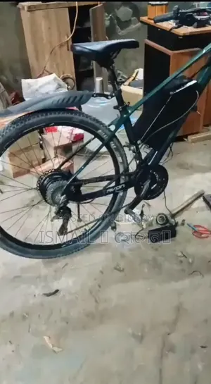 Avon Xt27.5 With Hub Motor