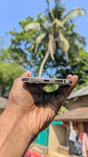 স্যামসাং গ্যালাক্সি নোট ১০ প্লাস ২৫৬ জিবি সিলভার