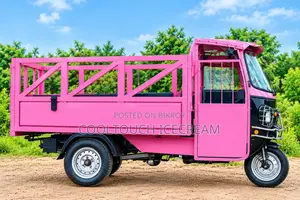 Cargo 3 Wheeler