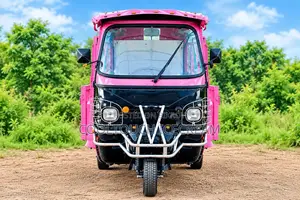 Cargo 3 Wheeler