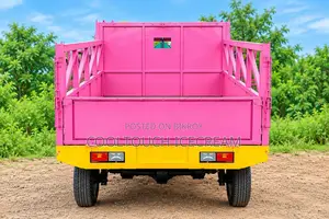 Cargo 3 Wheeler