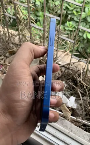 Apple iPhone 12 64 GB Blue