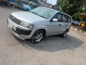 Toyota Probox 2010 Silver