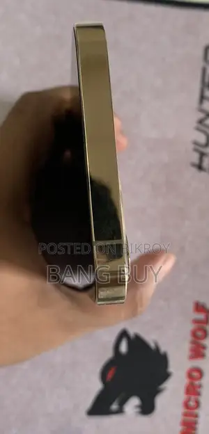 অ্যাপল আইফোন ১২ প্রো ২৫৬ জিবি রোজ গোল্ড