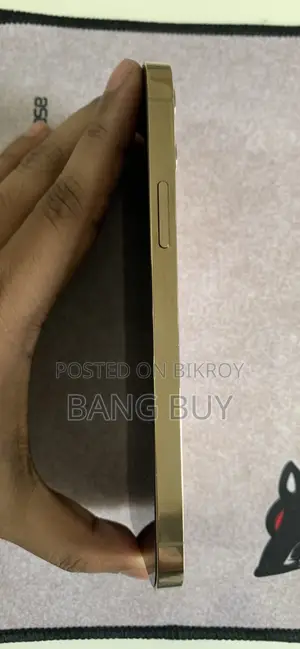অ্যাপল আইফোন ১২ প্রো ২৫৬ জিবি রোজ গোল্ড