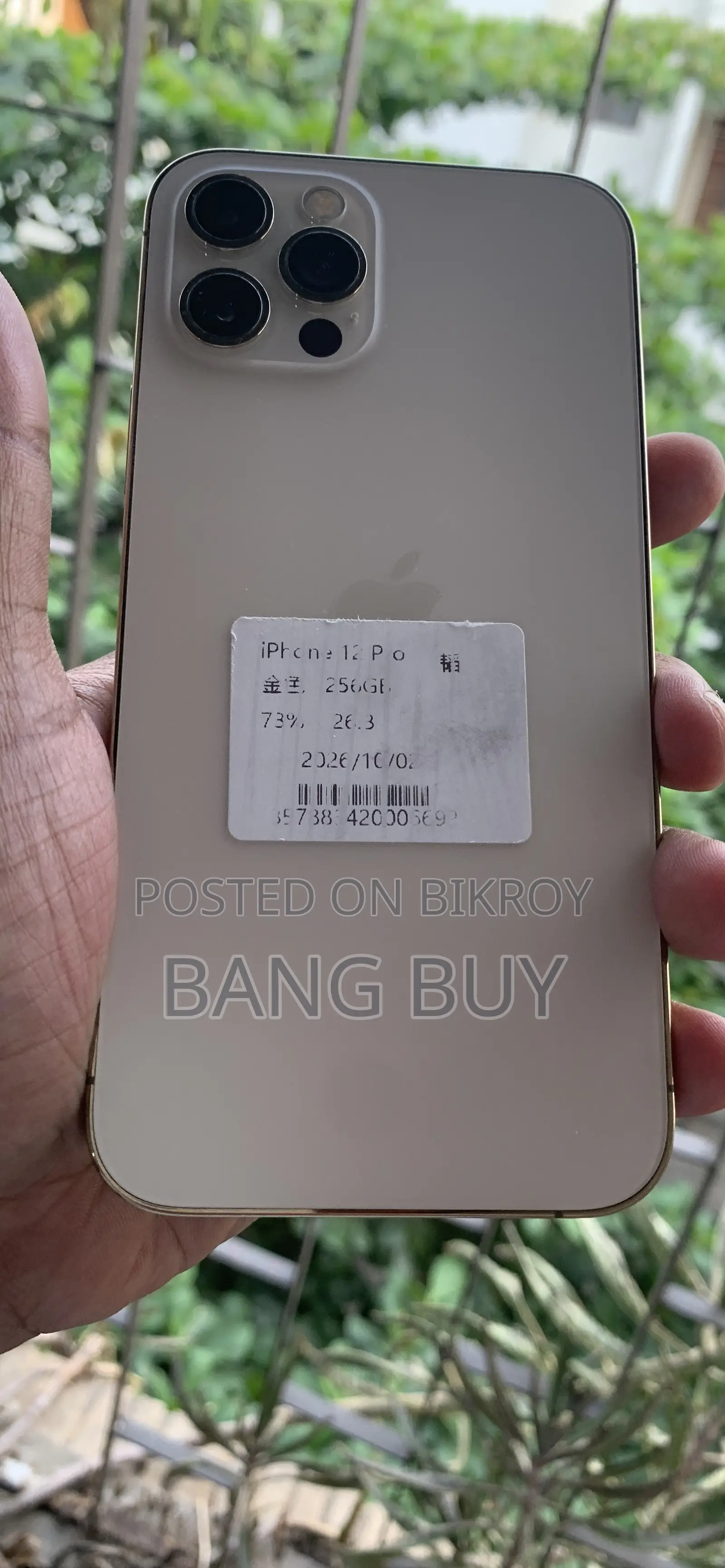 অ্যাপল আইফোন ১২ প্রো ২৫৬ জিবি রোজ গোল্ড