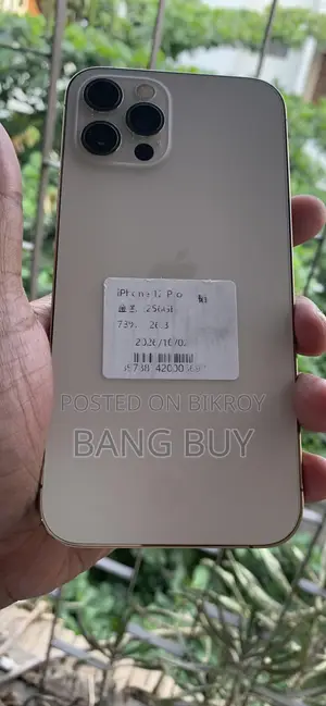 অ্যাপল আইফোন ১২ প্রো ২৫৬ জিবি রোজ গোল্ড