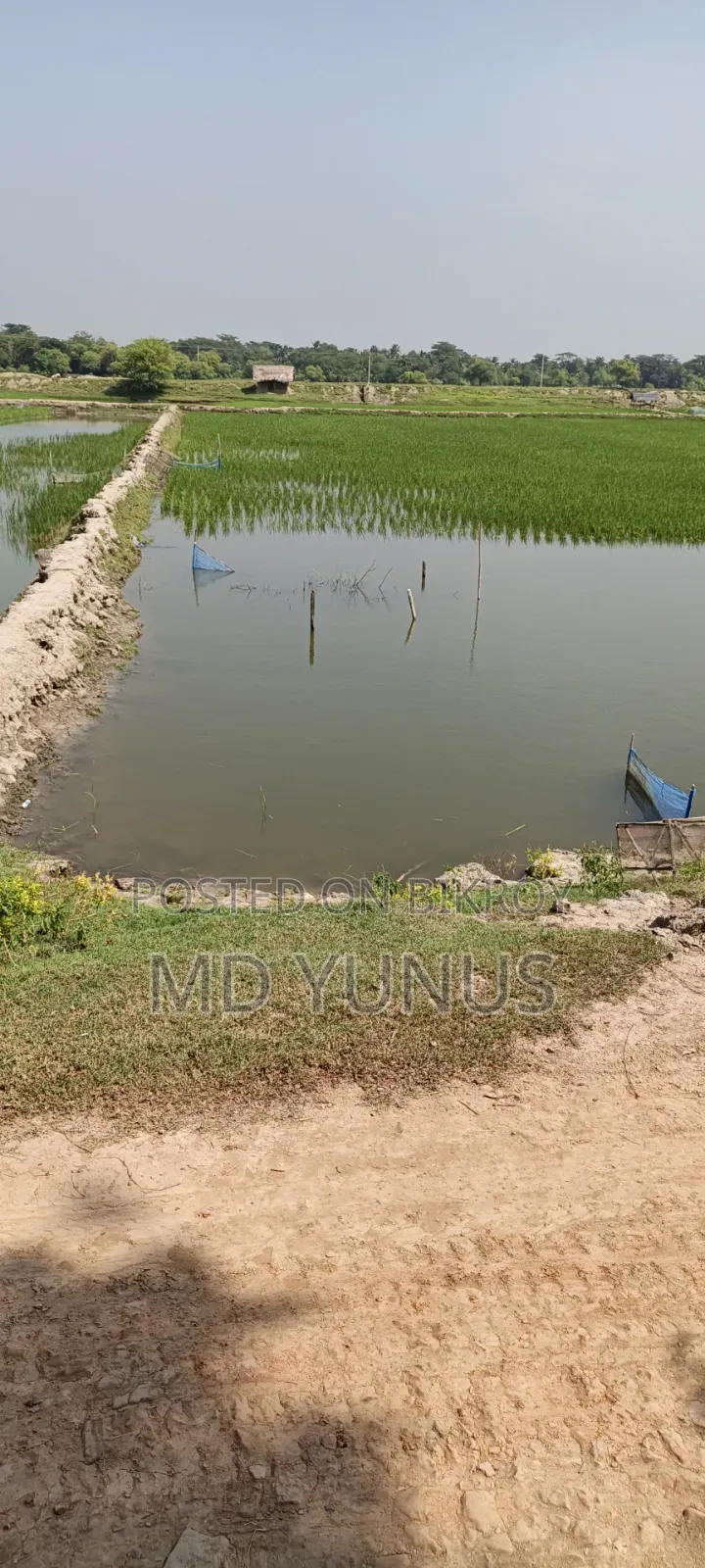 175 decimal land for sale