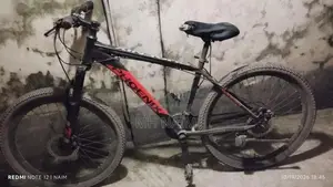 Phoenix Bicycle