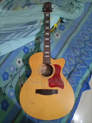 কাস্টম ব্রান্ডের গিটার