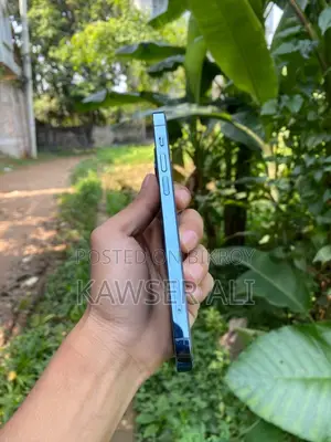 অ্যাপল আইফোন ১২ প্রো ২৫৬ জিবি ব্লু