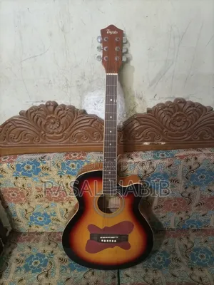 Tayste ব্রান্ডের গিটার