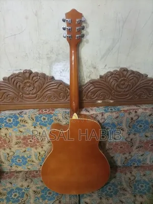 Tayste ব্রান্ডের গিটার
