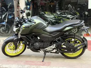 ইয়ামাহা এফজেডএস ভি৪ ২০২৫ গ্রিন