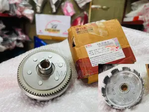 Fz V2/V3 Primary Driver