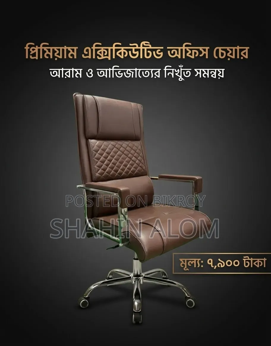 Executive Director Chair
