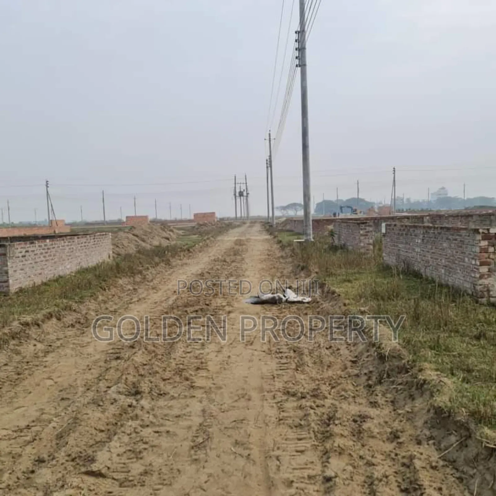 P Ext Block 4 Katha Residential Plot Sale in Bashundhara