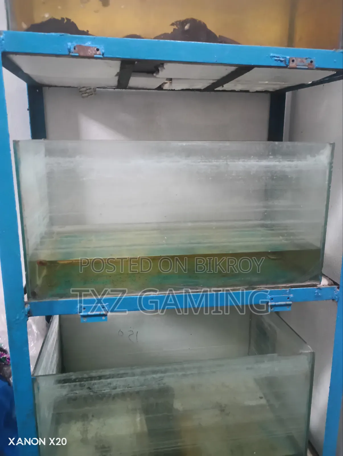 অ্যাকোয়ারিয়াম, অ্যাকোয়ারিয়াম স্ট্যান্ড