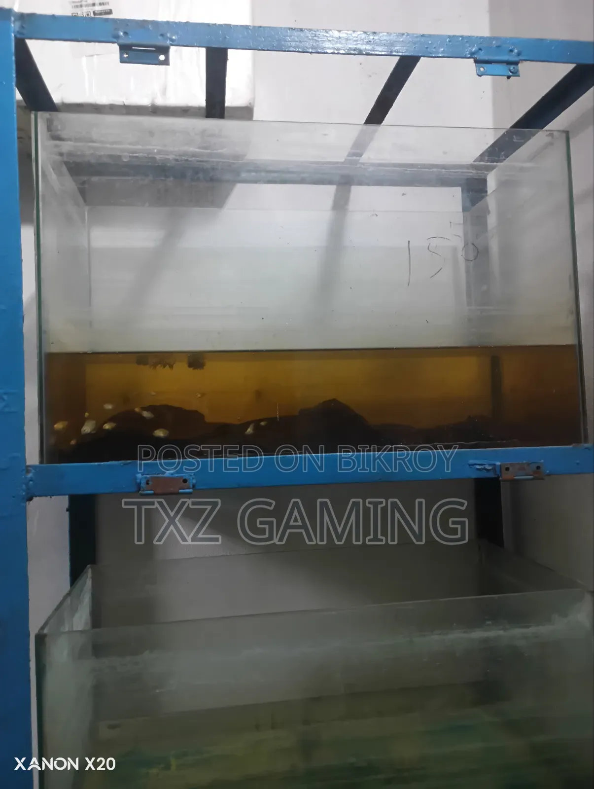 অ্যাকোয়ারিয়াম, অ্যাকোয়ারিয়াম স্ট্যান্ড