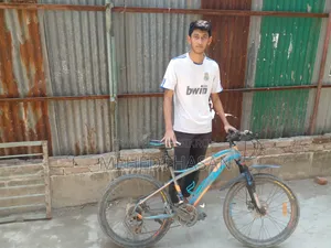 Phoenix Bicycle