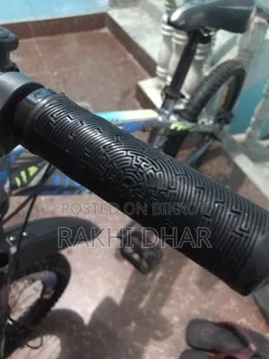 Phoenix SWAT Sport 20" Mountain Cycle for Sale