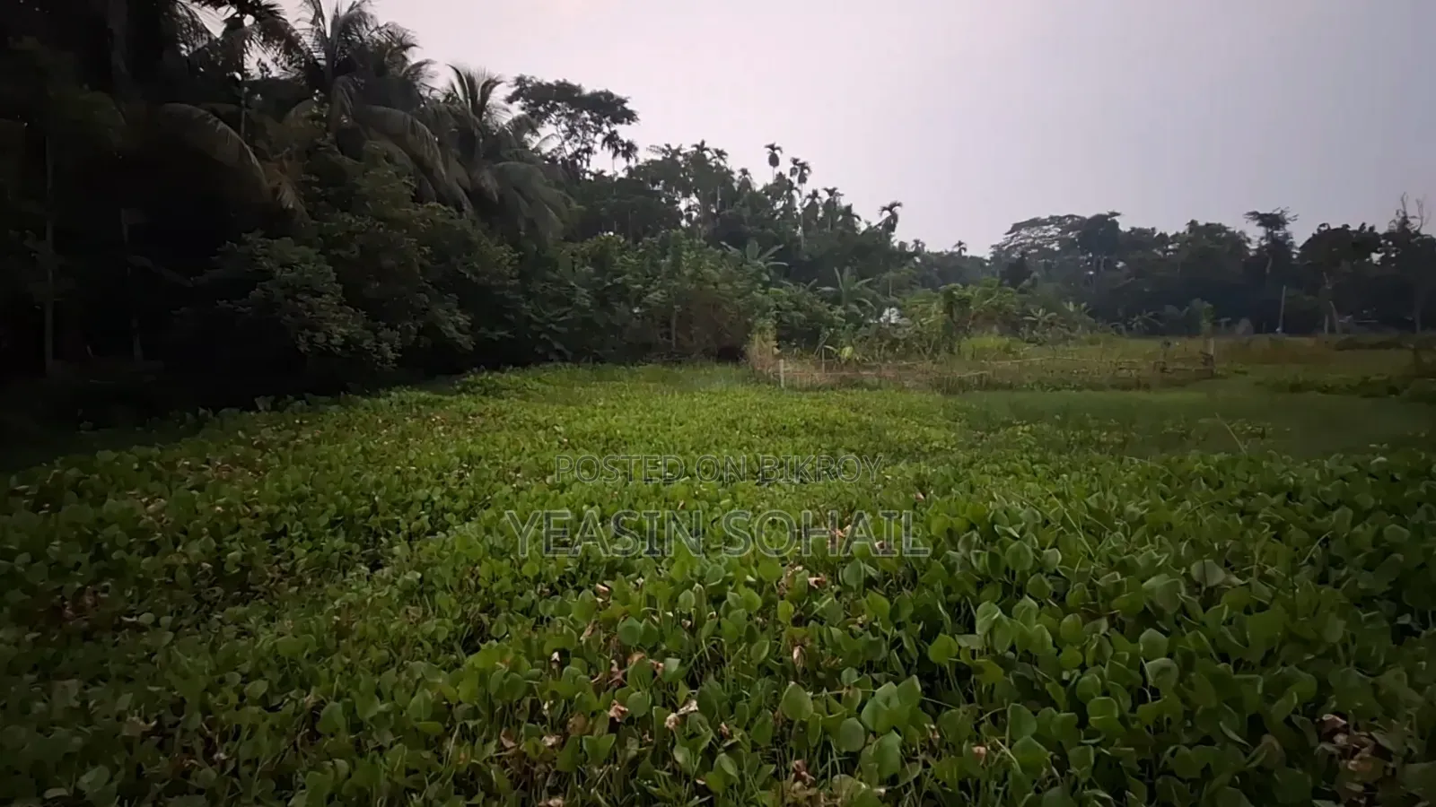 3 Katha of Land for Sale in a Beautiful and Pleasant Environment