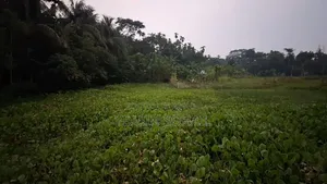 3 Katha of Land for Sale in a Beautiful and Pleasant Environment