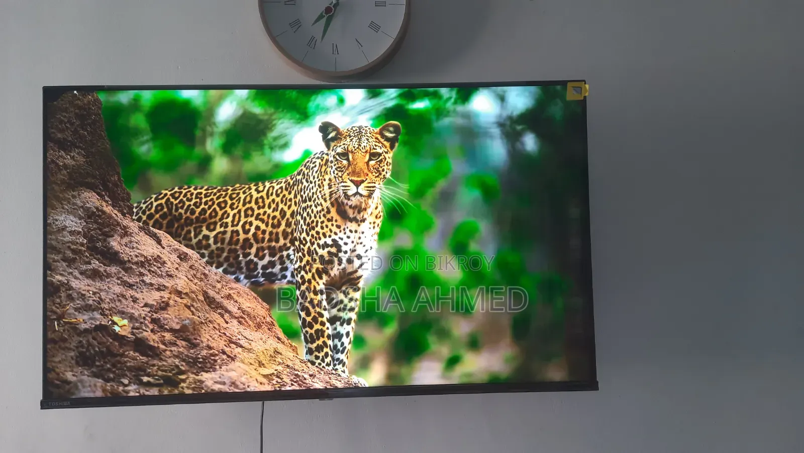 Toshiba 43" 4k Google TV