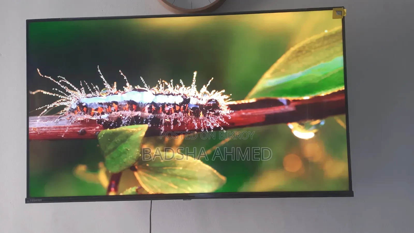 Toshiba 43" 4k Google TV