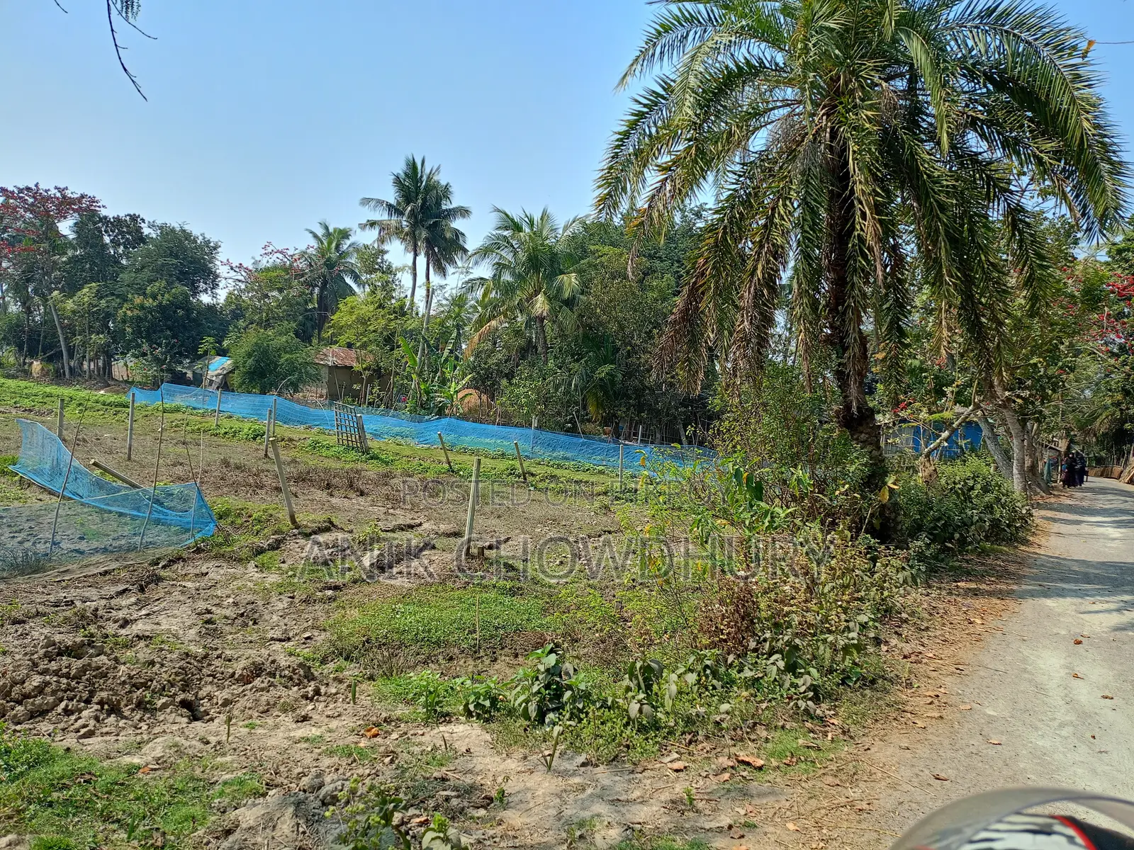 Urgent Land for Sale