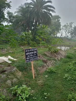 Urgent Land for Sale