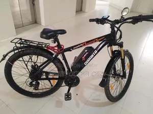Duranta E-Rider 101 Electric Cycle