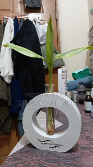 গাছ রাখার টব