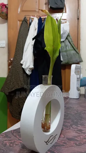 গাছ রাখার টব