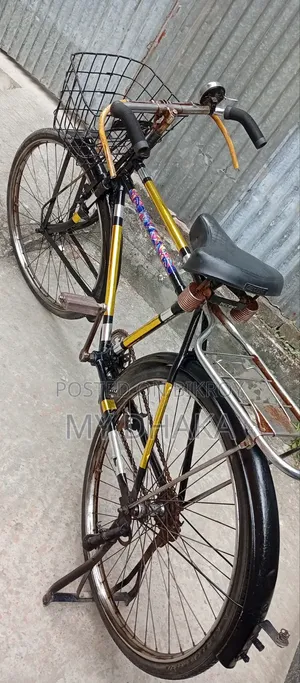 বাই ফোনিক সাইকেল