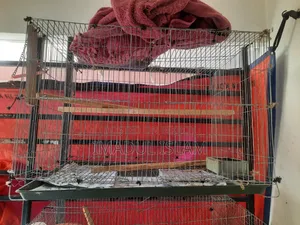 1 PCS Bird Cage