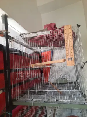 1 PCS Bird Cage